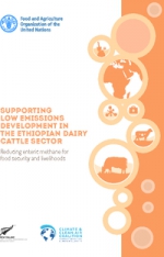 Supporting low emissions development in the Ethiopian dairy cattle sector:  reducing enteric methane for food security and livelihoods 